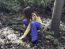 video to They pee anywhere, anytime.