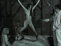 imagen Envasados BDSM en doble penetración