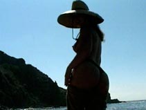 imagen Perra en la playa por su novio