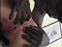 imagen Quiero sexo! Vete a la mierda como