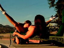 picture of Pretty brunette in heat savagely sodomized